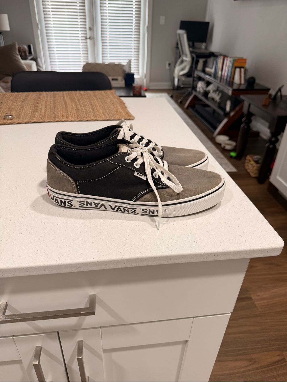 Vans Two-Tone Black and Olive Low-Top Canvas Sneakers - Picture 2 of 5